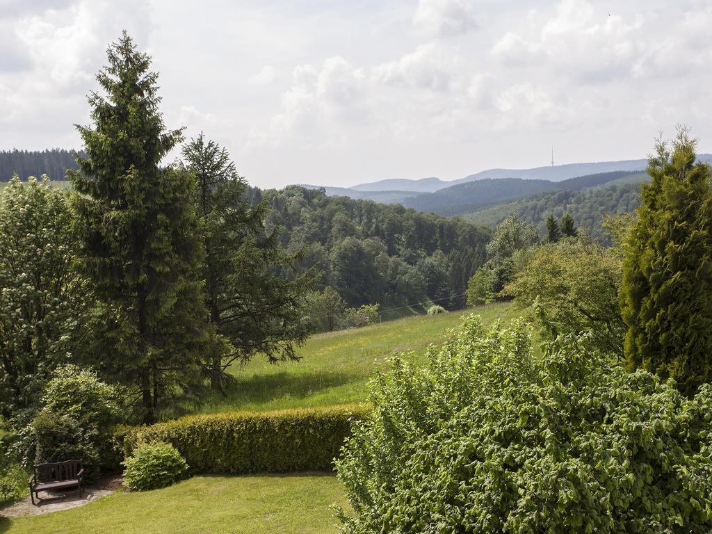 Pension Haus Brieden Винтерберг Екстериор снимка